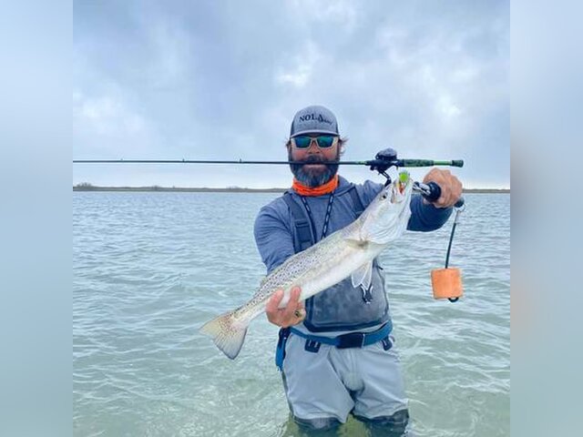 Listing image 848538