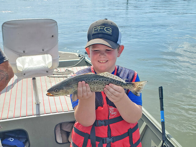 Listing image 851270