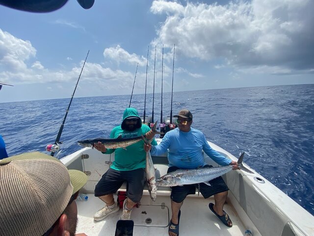 Listing image 1315920