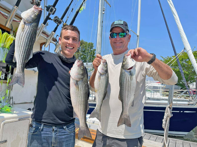 Listing image 854635