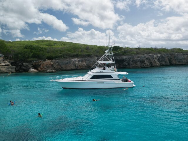 Listing image 1121082