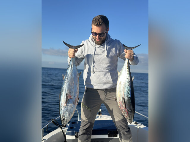 Listing image 1277298