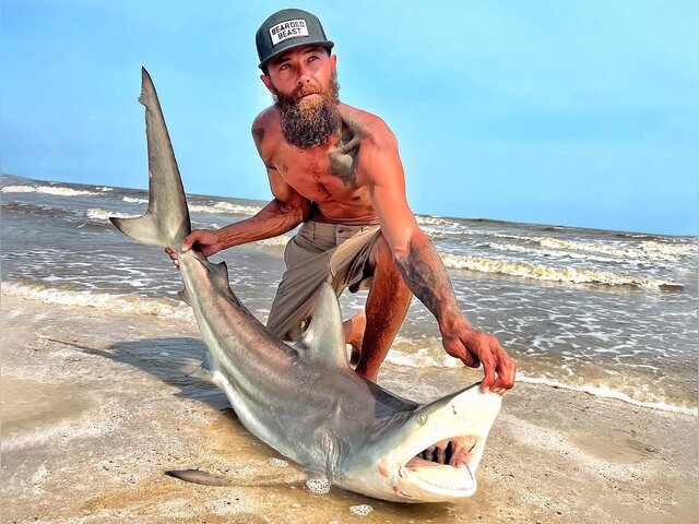 Listing image 902934