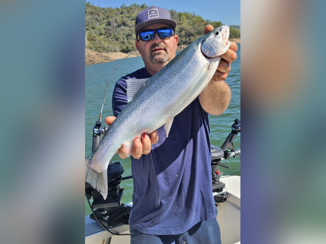 Listing image 912255