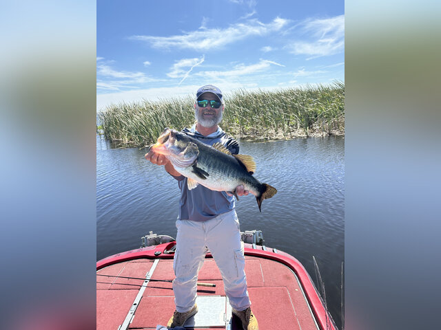 Listing image 1122279