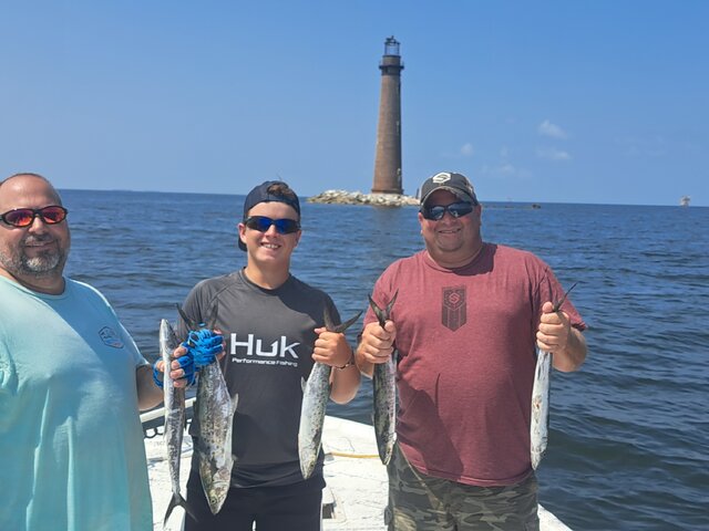 Listing image 942783