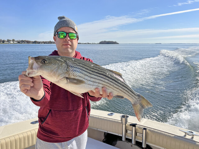 Listing image 861620