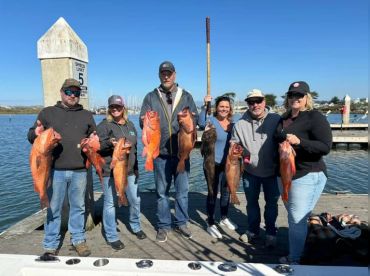 Blue Knuckles Sportfishing Charters