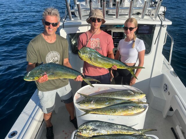 Listing image 859147