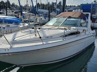 Lazydayz Charters & Adventures