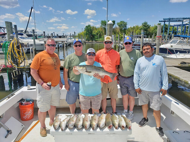 Listing image 863861