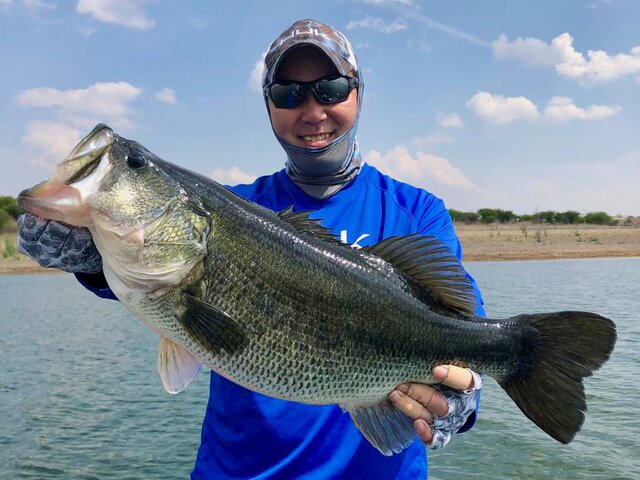 Listing image 933808