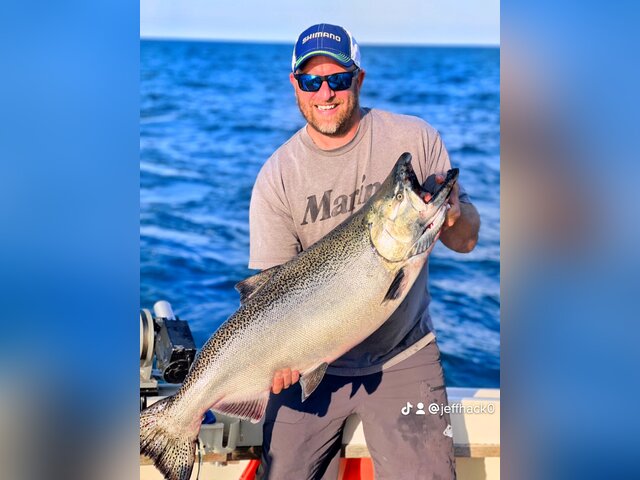 Listing image 860103