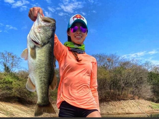 Listing image 886599