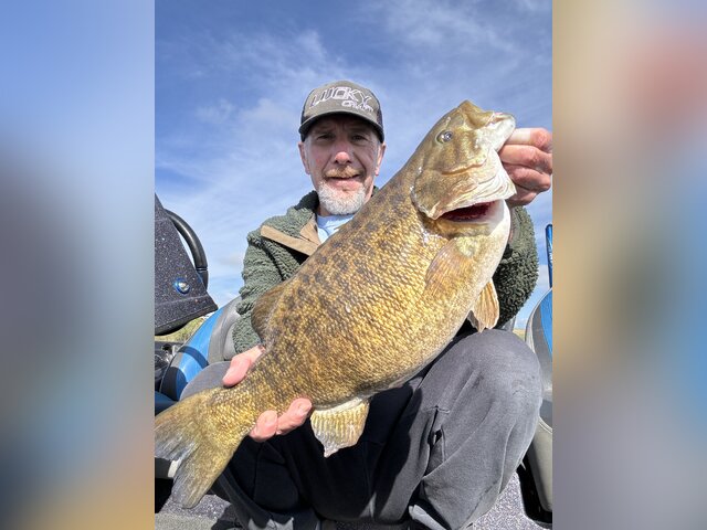 Listing image 1033999