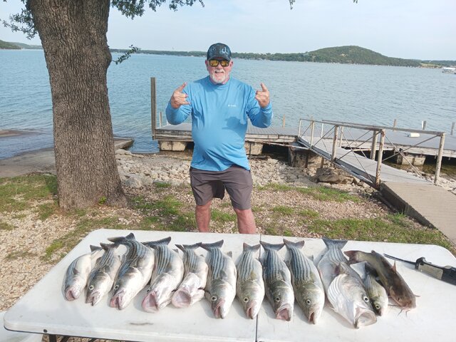 Listing image 871696