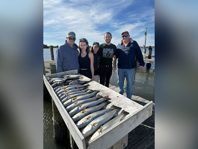 Listing image 1237665