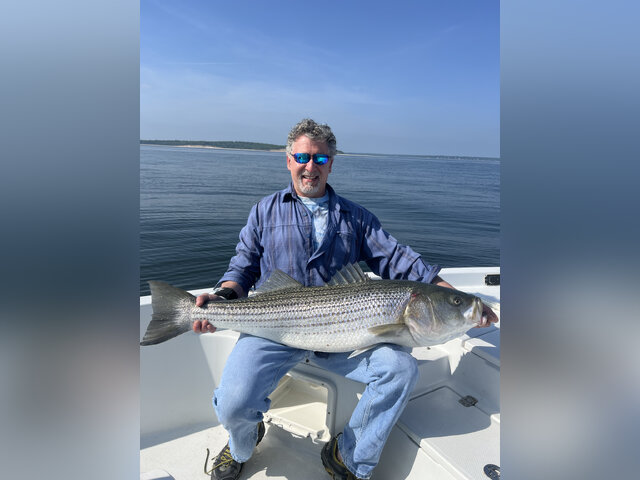 Listing image 1040365