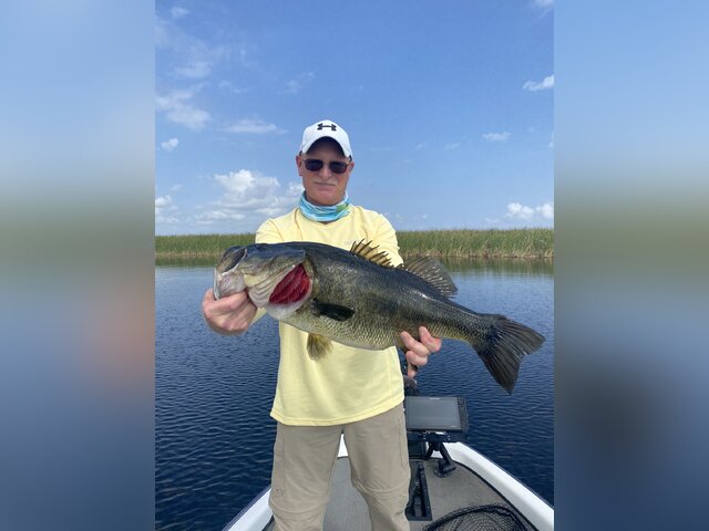 Listing image 865522