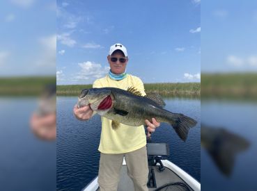 Lateral Line Adventures