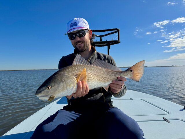 Listing image 1137127