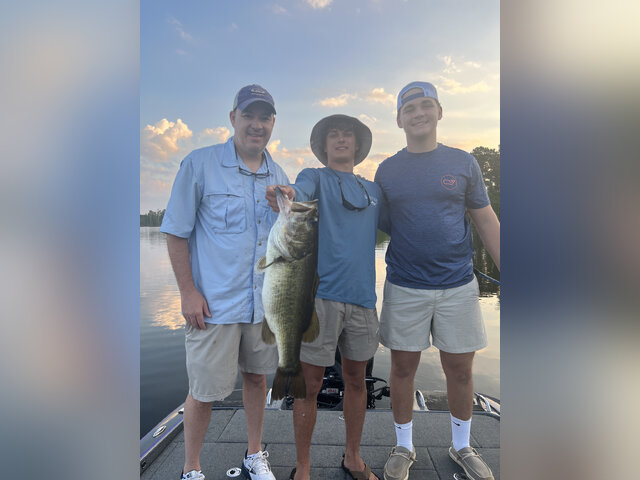 Listing image 1051493