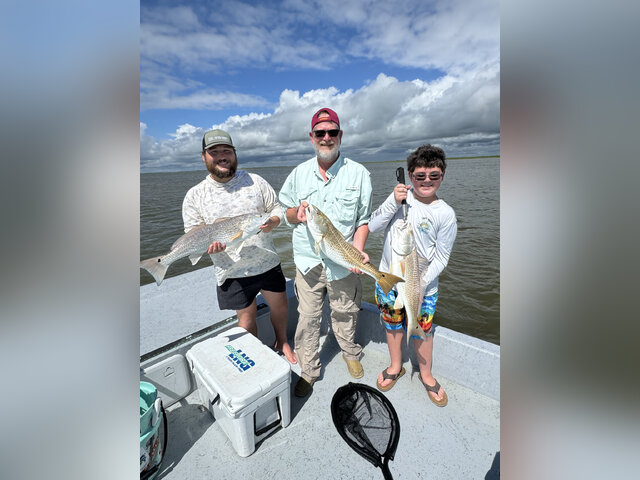 Listing image 1085840