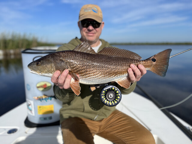 Listing image 867339