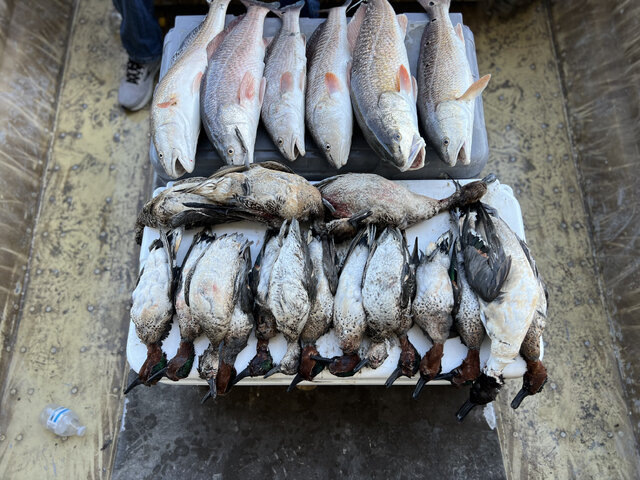 Listing image 1027101