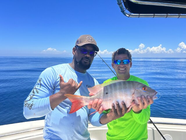 Listing image 877488