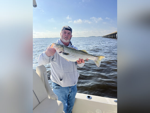 Listing image 1045679