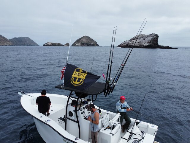 Listing image 868149