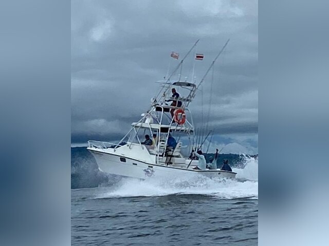 Listing image 1075399