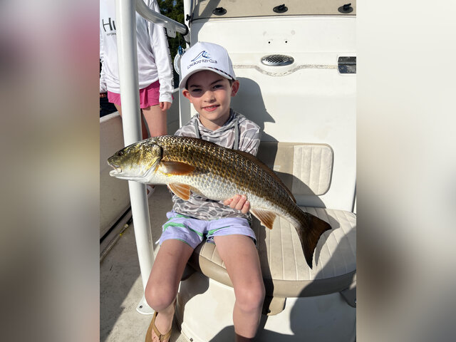 Listing image 1283968