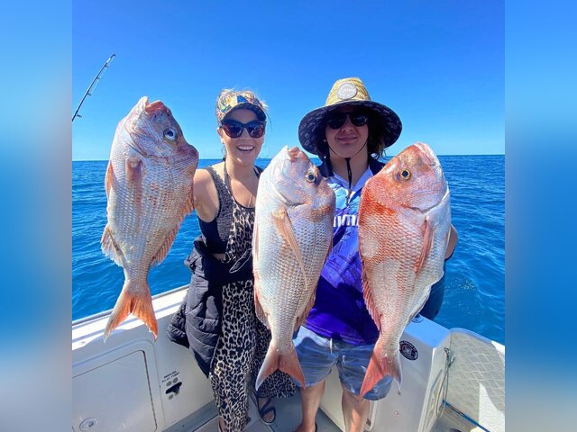 Listing image 872374