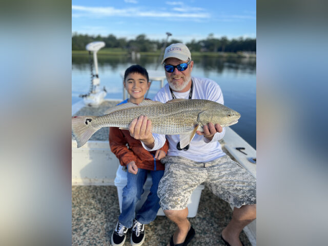 Listing image 870131