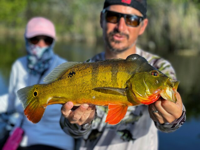 Listing image 870663