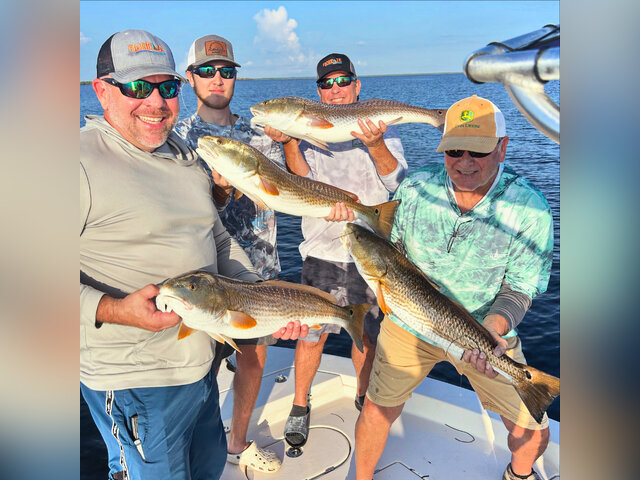 Listing image 1102815