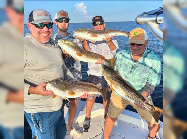 Floridaze Fishing Charters – Bokeelia thumbnail