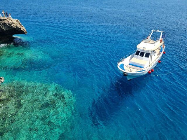 Listing image 1180149