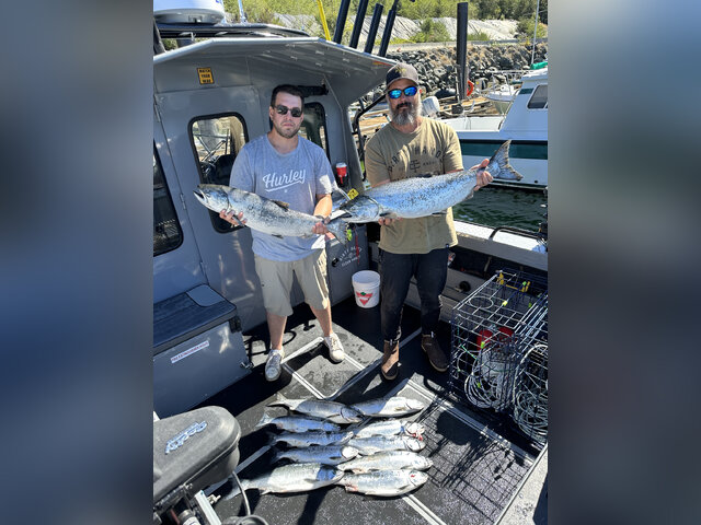 Listing image 917829