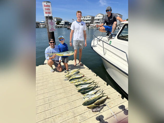 Listing image 924358