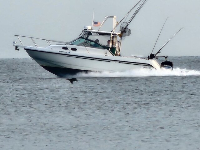 Listing image 937937