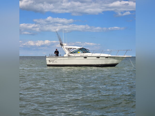 Listing image 1374360