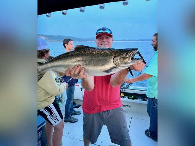 Listing image 938365