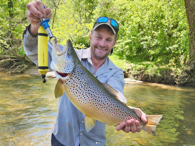 Listing image 880110