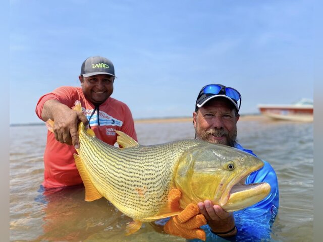 Listing image 876223