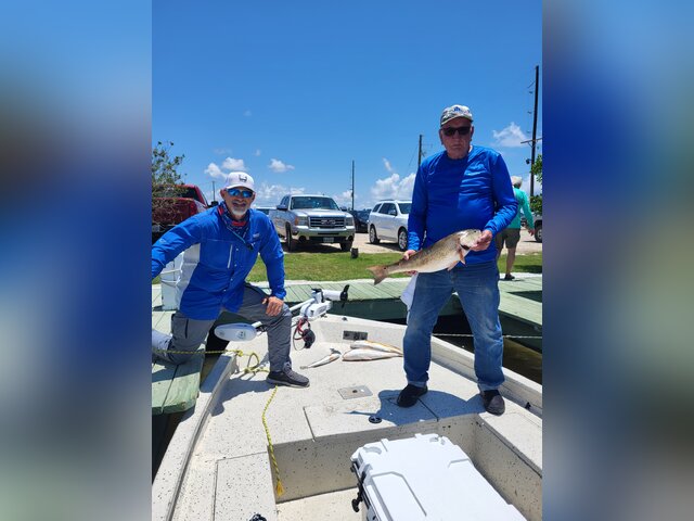 Listing image 876804