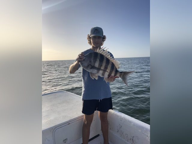 Listing image 882800