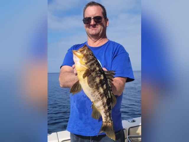 Listing image 879223